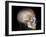 Human Skull, 3D CT Scan-null-Framed Photographic Print