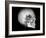 Human Skull and Site of Pituitary Gland, CT and MRI Scans-null-Framed Photographic Print