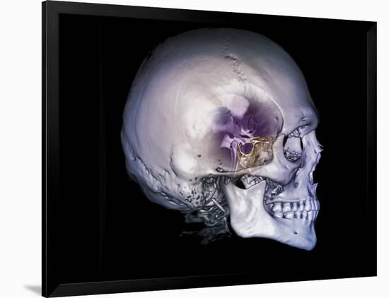 Photographic Print, , large