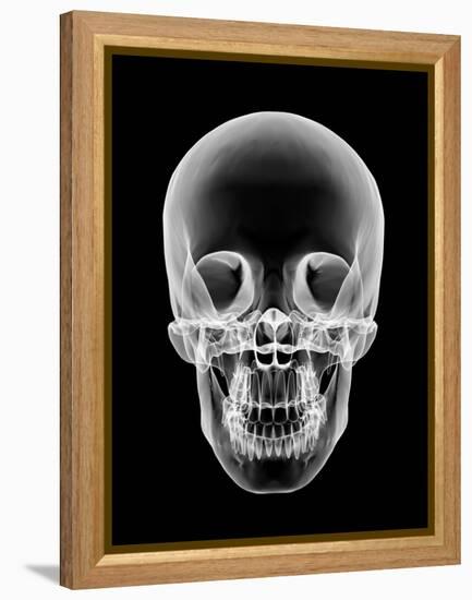 Human Skull, X-ray Artwork-PASIEKA-Framed Premier Image Canvas