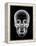 Human Skull, X-ray Artwork-PASIEKA-Framed Premier Image Canvas