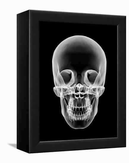 Human Skull, X-ray Artwork-PASIEKA-Framed Premier Image Canvas