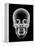 Human Skull, X-ray Artwork-PASIEKA-Framed Premier Image Canvas