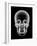 Human Skull, X-ray Artwork-PASIEKA-Framed Photographic Print