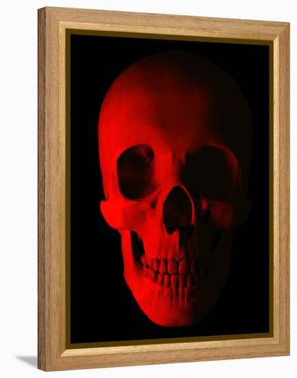 Human Skull-Roger Harris-Framed Premier Image Canvas