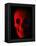 Human Skull-Roger Harris-Framed Premier Image Canvas