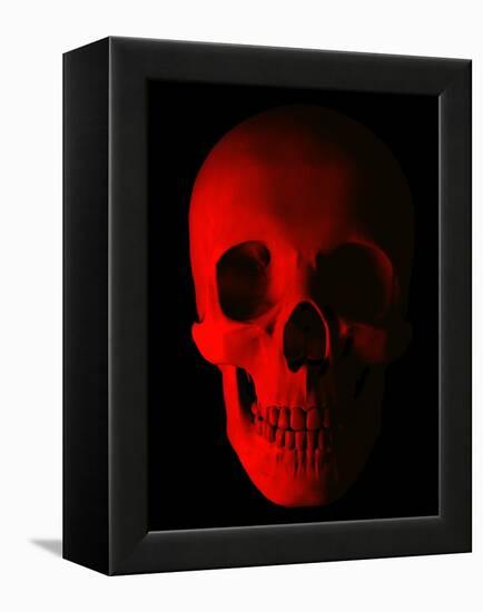 Human Skull-Roger Harris-Framed Premier Image Canvas