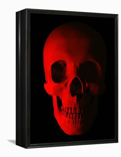 Human Skull-Roger Harris-Framed Premier Image Canvas