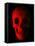 Human Skull-Roger Harris-Framed Premier Image Canvas