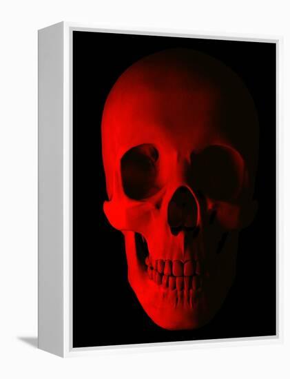 Human Skull-Roger Harris-Framed Premier Image Canvas