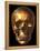 Human Skull-Roger Harris-Framed Premier Image Canvas