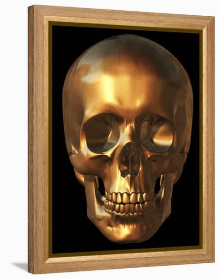 Human Skull-Roger Harris-Framed Premier Image Canvas