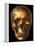 Human Skull-Roger Harris-Framed Premier Image Canvas