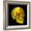 Human Skull-Mehau Kulyk-Framed Premium Photographic Print