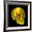 Human Skull-Mehau Kulyk-Framed Premium Photographic Print