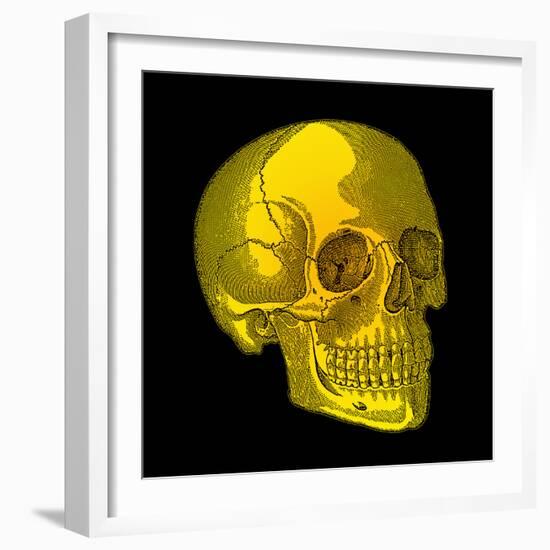 Human Skull-Mehau Kulyk-Framed Premium Photographic Print