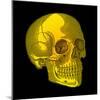 Human Skull-Mehau Kulyk-Mounted Premium Photographic Print