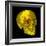 Human Skull-Mehau Kulyk-Framed Premium Photographic Print