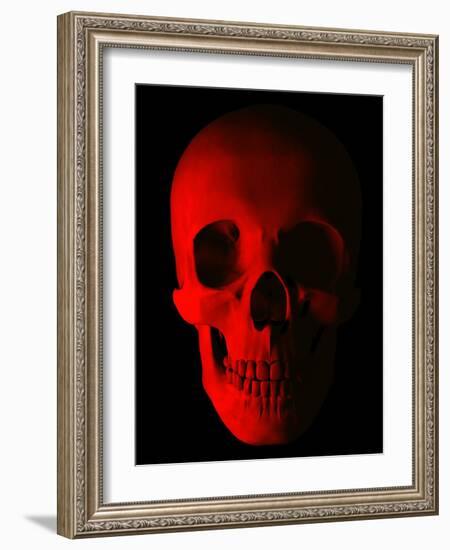 Human Skull-Roger Harris-Framed Photographic Print