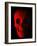 Human Skull-Roger Harris-Framed Photographic Print