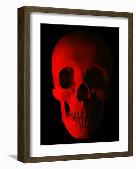 Human Skull-Roger Harris-Framed Photographic Print