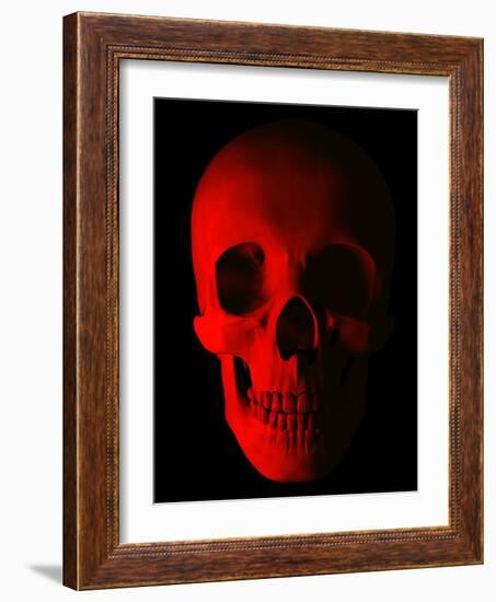 Human Skull-Roger Harris-Framed Photographic Print