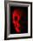 Human Skull-Roger Harris-Framed Photographic Print