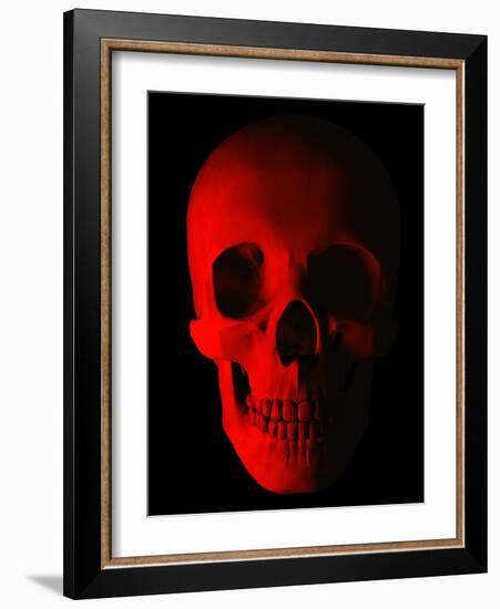 Human Skull-Roger Harris-Framed Photographic Print