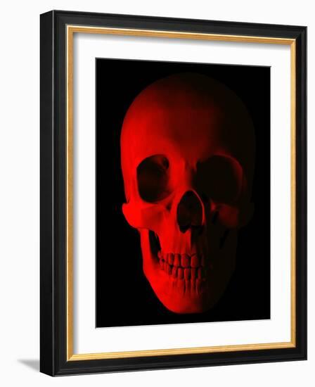 Human Skull-Roger Harris-Framed Photographic Print