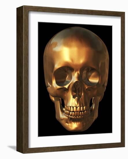 Human Skull-Roger Harris-Framed Photographic Print