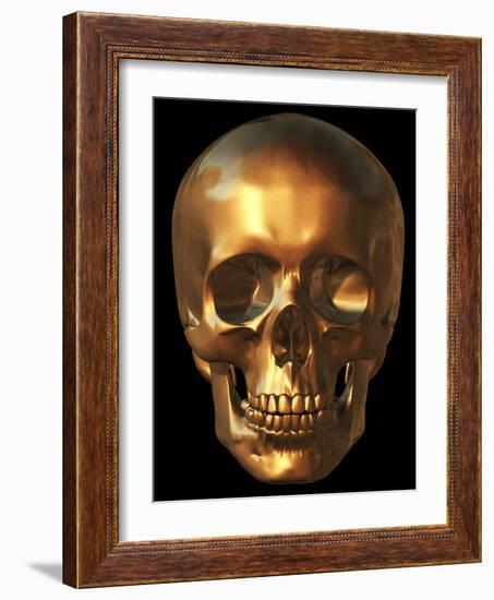 Human Skull-Roger Harris-Framed Photographic Print