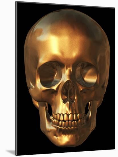 Human Skull-Roger Harris-Mounted Photographic Print