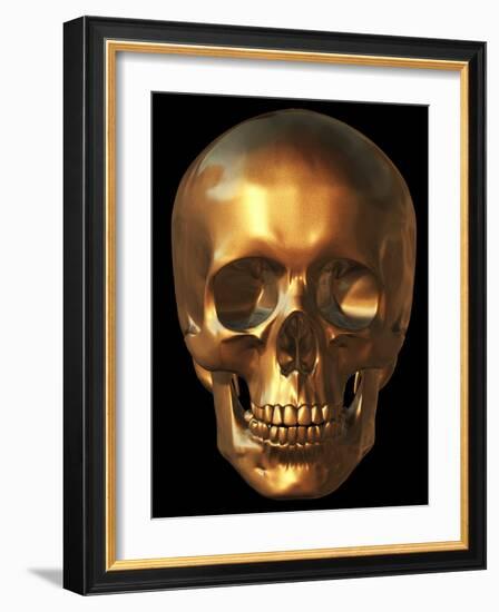 Human Skull-Roger Harris-Framed Photographic Print