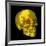 Human Skull-Mehau Kulyk-Framed Photographic Print