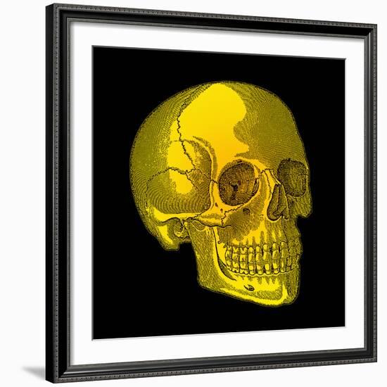 Human Skull-Mehau Kulyk-Framed Photographic Print