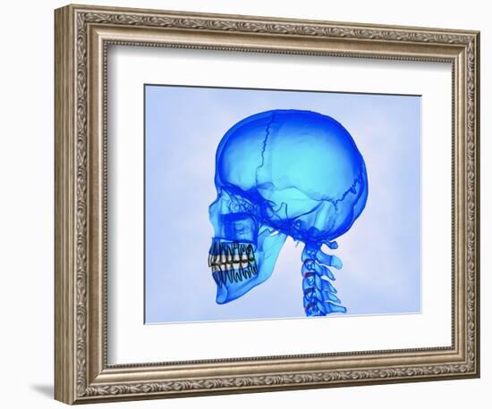 Human Skull-Matthias Kulka-Framed Giclee Print