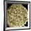 Human Spinal Nerve, SEM-Thomas Deerinck-Framed Photographic Print