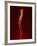 Human Spine, Artwork-PASIEKA-Framed Photographic Print