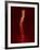 Human Spine, Artwork-PASIEKA-Framed Photographic Print