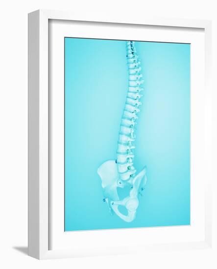 Human Spine-Lawrence Lawry-Framed Photographic Print