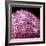 Human Tongue Surface, SEM-Science Photo Library-Framed Premium Photographic Print