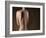 Human-null-Framed Photographic Print