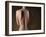 Human-null-Framed Photographic Print