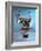 Humanoid Robot-Volker Steger-Framed Photographic Print