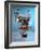 Humanoid Robot-Volker Steger-Framed Photographic Print