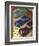 Humber, Hillman, Sunbeam-Talbot, UK-null-Framed Giclee Print