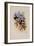 Humboldt's Hummingbird, Chrysuronia Humboldti-John Gould-Framed Giclee Print