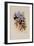 Humboldt's Hummingbird, Chrysuronia Humboldti-John Gould-Framed Giclee Print