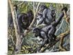 Giclee Print