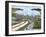 Humid Tropics Biome, Eden Project, Cornwall-Peter Thompson-Framed Photographic Print